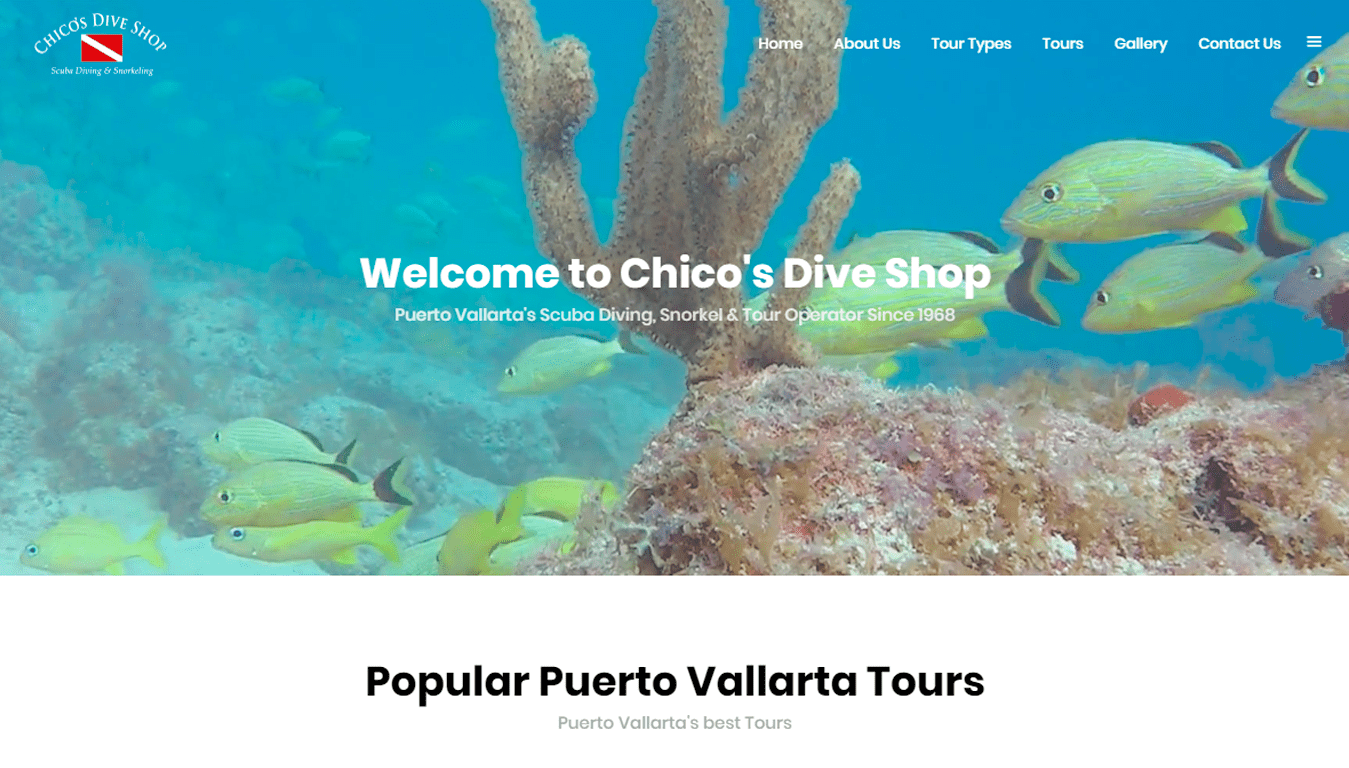 diseño web Chicos Dive Shop puerto vallarta
